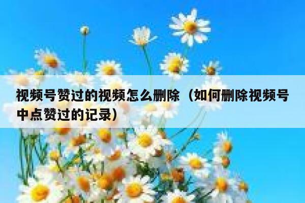 视频号赞过的视频怎么删除(如何删除视频号中点赞过的记录) 第1张 视频号赞过的视频怎么删除(如何删除视频号中点赞过的记录) 第1张