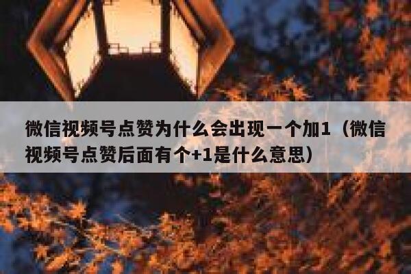 微信视频号点赞为什么会出现一个加1（微信视频号点赞后面有个+1是什么意思） 第1张