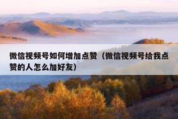 微信视频号如何增加点赞（微信视频号给我点赞的人怎么加好友） 第1张