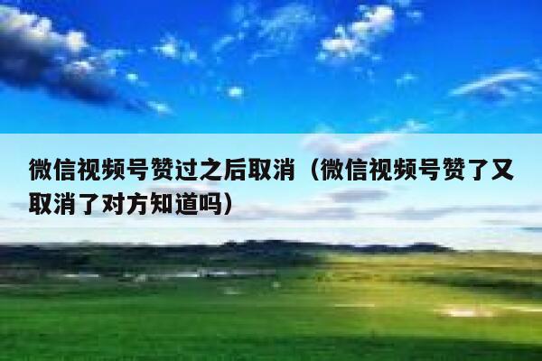 微信视频号赞过之后取消(微信视频号赞了又取消了对方知道吗) 第1张 微信视频号赞过之后取消(微信视频号赞了又取消了对方知道吗) 第1张