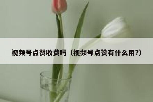 视频号点赞收费吗（视频号点赞有什么用?） 第1张
