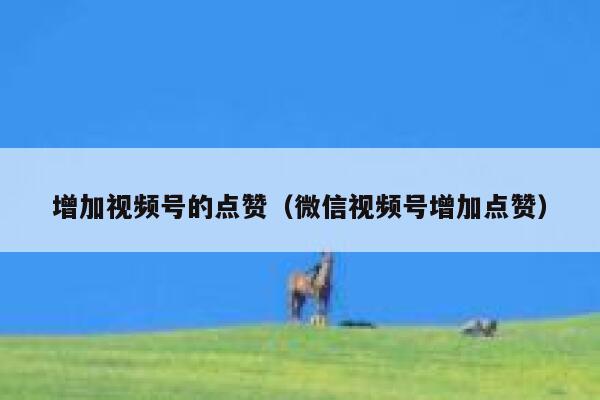 增加视频号的点赞（微信视频号增加点赞） 第1张