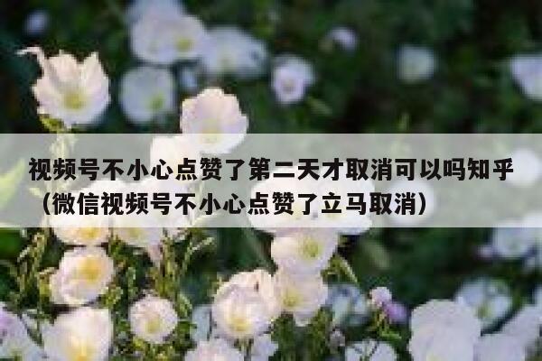 视频号不小心点赞了第二天才取消可以吗知乎（微信视频号不小心点赞了立马取消） 第1张