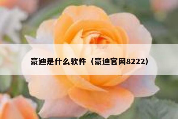 豪迪是什么软件（豪迪官网8222） 第1张