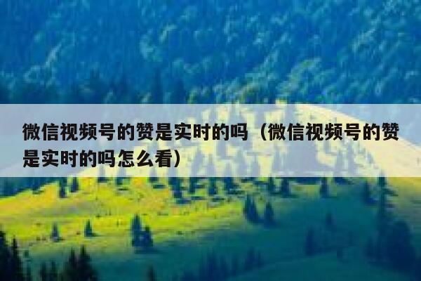 微信视频号的赞是实时的吗（微信视频号的赞是实时的吗怎么看） 第1张