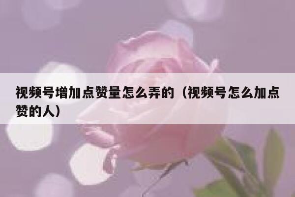 视频号增加点赞量怎么弄的（视频号怎么加点赞的人） 第1张