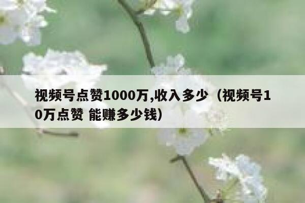 视频号点赞1000万,收入多少（视频号10万点赞 能赚多少钱） 第1张