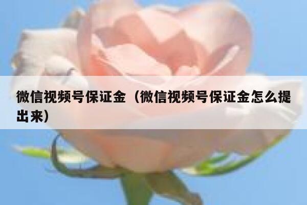 微信视频号保证金（微信视频号保证金怎么提出来） 第1张