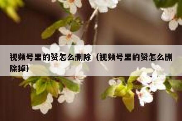 视频号里的赞怎么删除（视频号里的赞怎么删除掉） 第1张