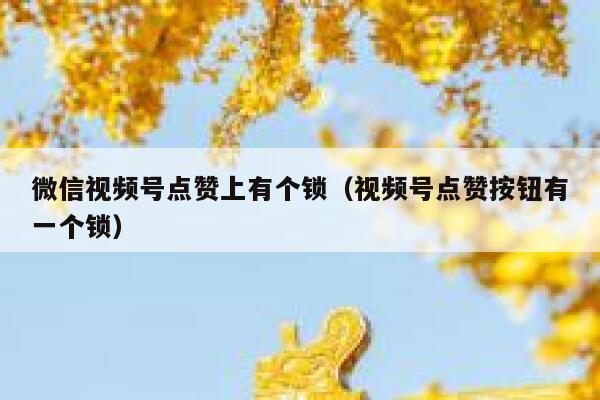 微信视频号点赞上有个锁（视频号点赞按钮有一个锁） 第1张
