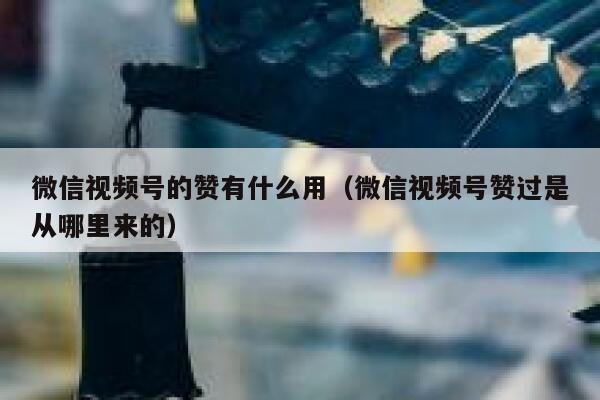 微信视频号的赞有什么用（微信视频号赞过是从哪里来的） 第1张
