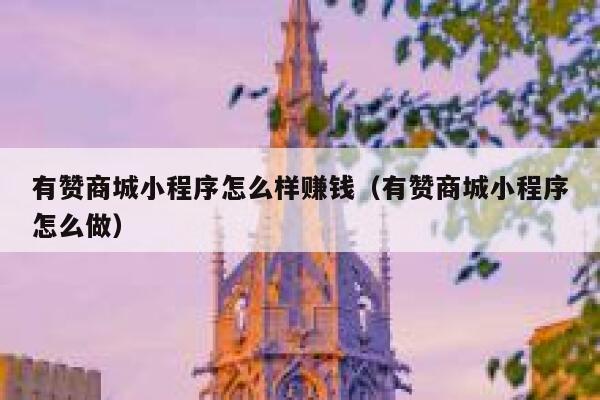 有赞商城小程序怎么样赚钱（有赞商城小程序怎么做） 第1张