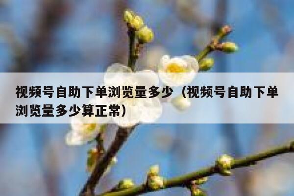 视频号自助下单浏览量多少(视频号自助下单浏览量多少算正常) 第1张 视频号自助下单浏览量多少(视频号自助下单浏览量多少算正常) 第1张