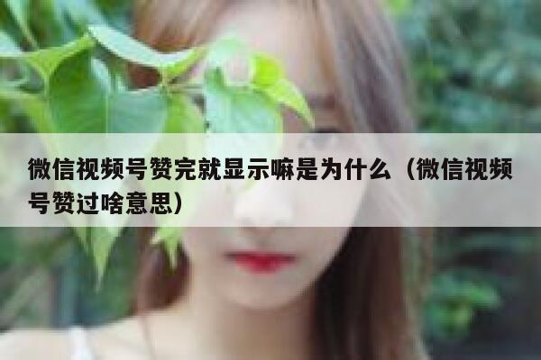 微信视频号赞完就显示嘛是为什么（微信视频号赞过啥意思） 第1张