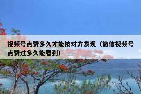 视频号点赞多久才能被对方发现(微信视频号点赞过多久能看到) 第1张 视频号点赞多久才能被对方发现(微信视频号点赞过多久能看到) 第1张