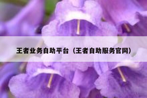 王者业务自助平台（王者自助服务官网） 第1张