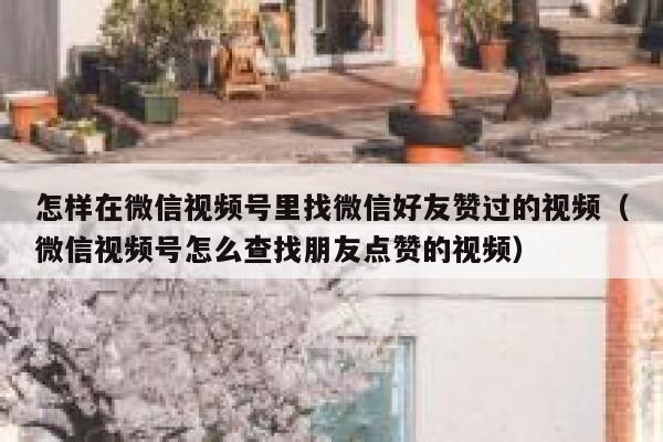 怎样在微信视频号里找微信好友赞过的视频（微信视频号怎么查找朋友点赞的视频） 第1张