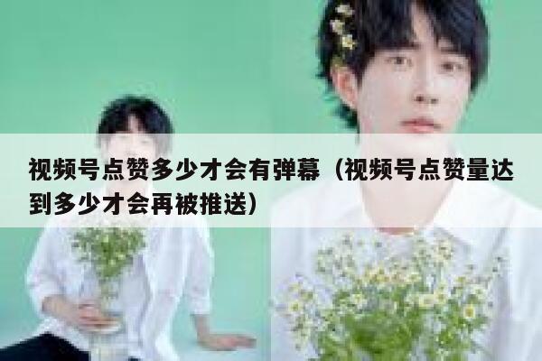 视频号点赞多少才会有弹幕（视频号点赞量达到多少才会再被推送） 第1张