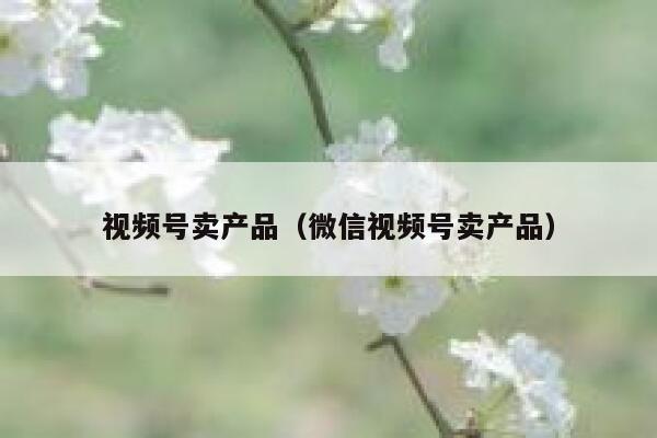 视频号卖产品（微信视频号卖产品） 第1张