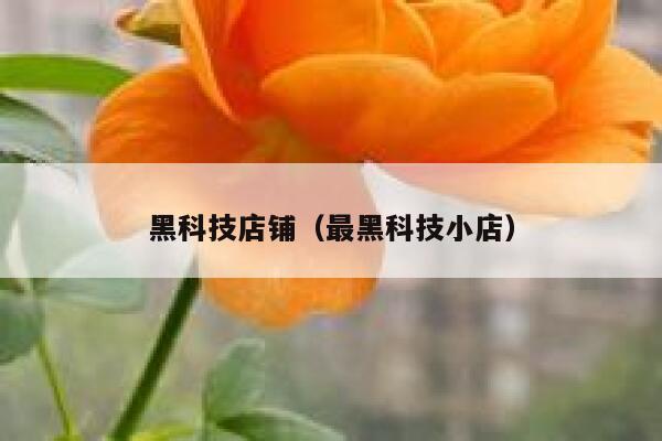 黑科技店铺(最黑科技小店) 第1张 黑科技店铺(最黑科技小店) 第1张