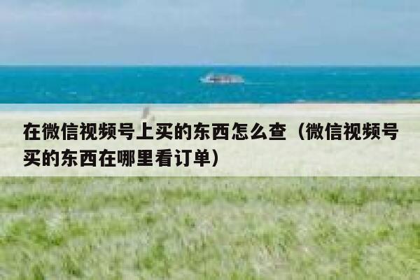 在微信视频号上买的东西怎么查（微信视频号买的东西在哪里看订单） 第1张
