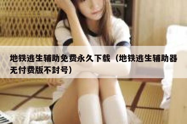 地铁逃生辅助免费永久下载（地铁逃生辅助器无付费版不封号） 第1张