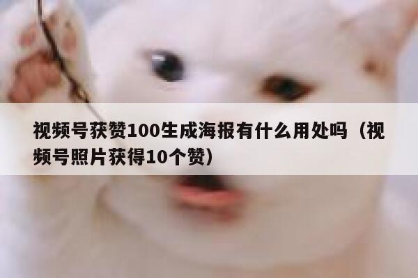 视频号获赞100生成海报有什么用处吗(视频号照片获得10个赞) 第1张 视频号获赞100生成海报有什么用处吗(视频号照片获得10个赞) 第1张