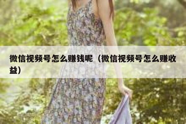 微信视频号怎么赚钱呢（微信视频号怎么赚收益） 第1张