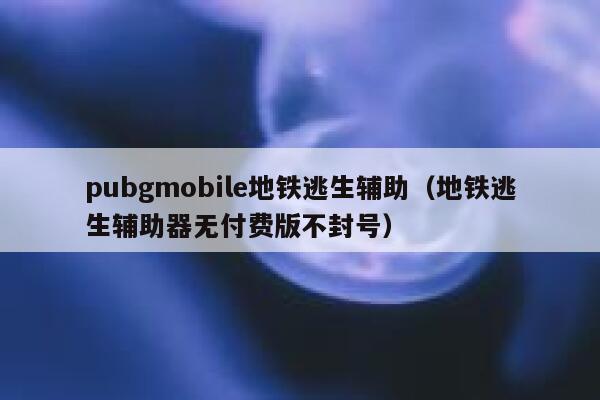 pubgmobile地铁逃生辅助（地铁逃生辅助器无付费版不封号） 第1张