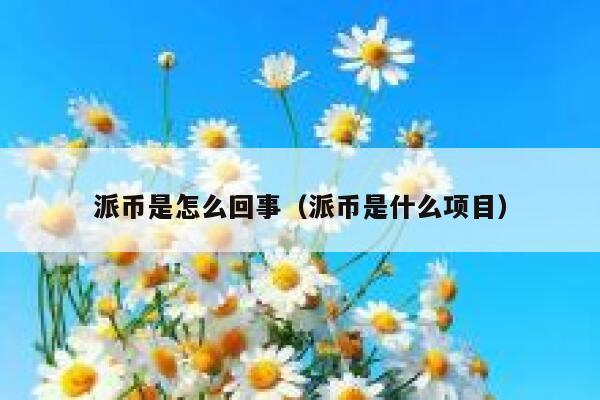 派币是怎么回事(派币是什么项目) 第1张 派币是怎么回事(派币是什么项目) 第1张