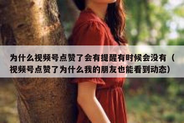 为什么视频号点赞了会有提醒有时候会没有（视频号点赞了为什么我的朋友也能看到动态） 第1张
