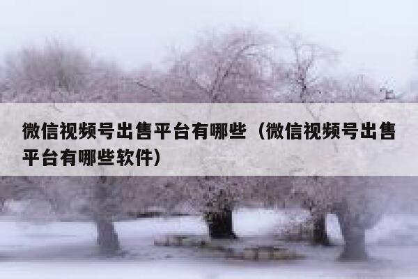 微信视频号出售平台有哪些(微信视频号出售平台有哪些软件) 第1张 微信视频号出售平台有哪些(微信视频号出售平台有哪些软件) 第1张