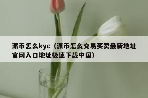 派币怎么kyc（派币怎么交易买卖最新地址官网入口地址极速下载中国） 第1张