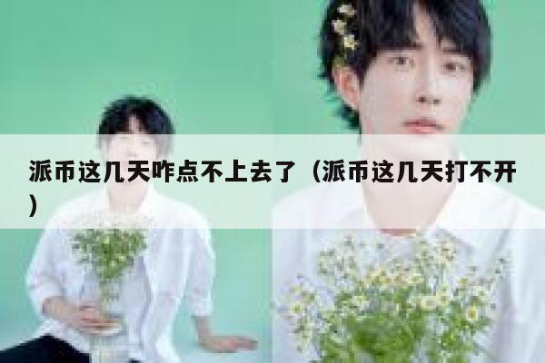 派币这几天咋点不上去了（派币这几天打不开） 第1张