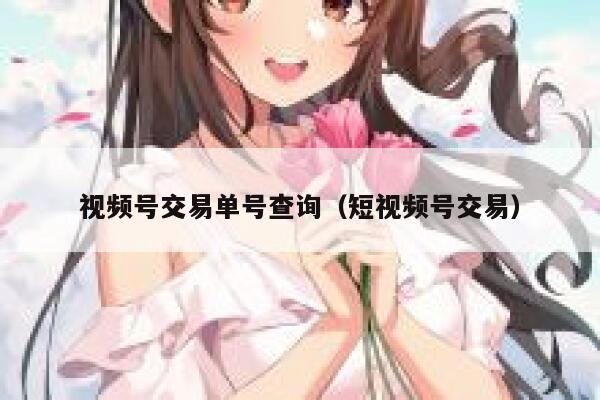 视频号交易单号查询（短视频号交易） 第1张
