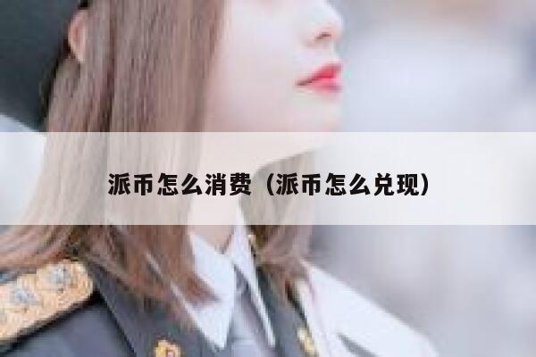 派币怎么消费（派币怎么兑现） 第1张