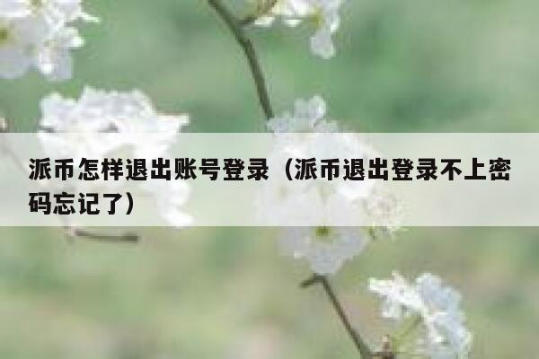 派币怎样退出账号登录(派币退出登录不上密码忘记了) 第1张 派币怎样退出账号登录(派币退出登录不上密码忘记了) 第1张