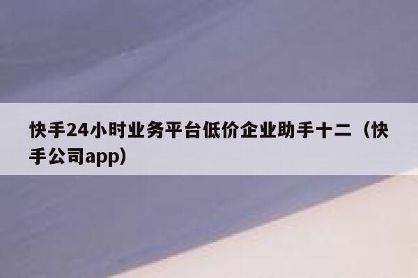 快手24小时业务平台低价企业助手十二（快手公司app） 第1张
