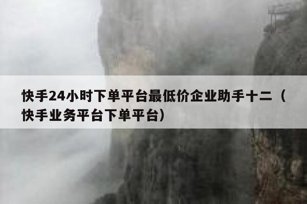 快手24小时下单平台最低价企业助手十二（快手业务平台下单平台） 第1张