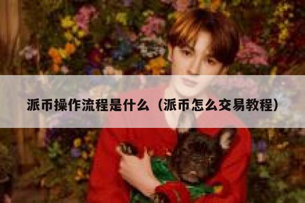 派币操作流程是什么（派币怎么交易教程） 第1张