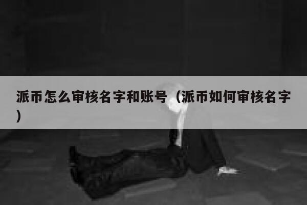派币怎么审核名字和账号（派币如何审核名字） 第1张
