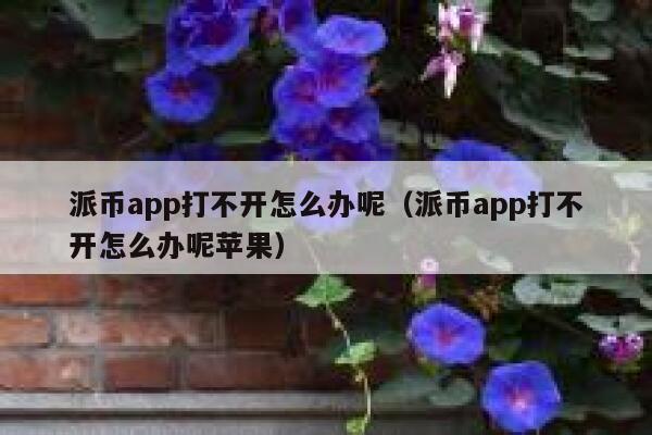 派币app打不开怎么办呢（派币app打不开怎么办呢苹果） 第1张