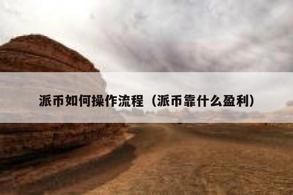 派币如何操作流程（派币靠什么盈利） 第1张