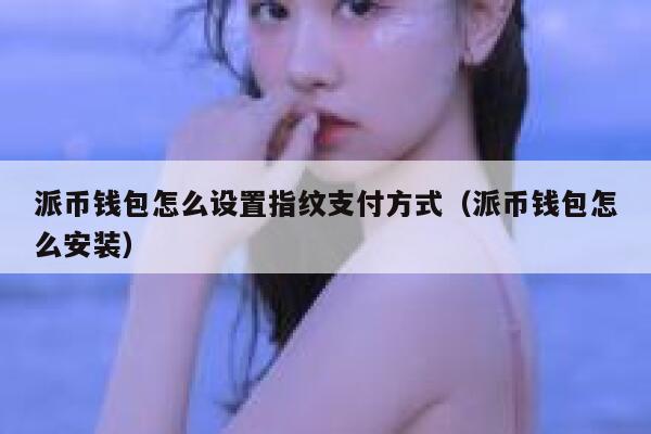 派币钱包怎么设置指纹支付方式（派币钱包怎么安装） 第1张