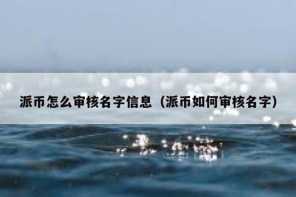 派币怎么审核名字信息（派币如何审核名字） 第1张