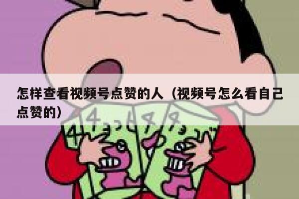 怎样查看视频号点赞的人(视频号怎么看自己点赞的) 第1张 怎样查看视频号点赞的人(视频号怎么看自己点赞的) 第1张