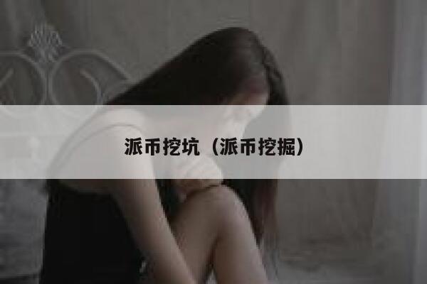 派币挖坑（派币挖掘） 第1张