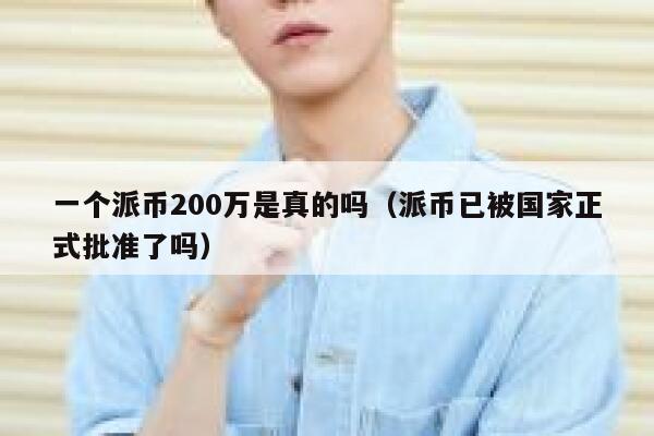 一个派币200万是真的吗（派币已被国家正式批准了吗） 第1张