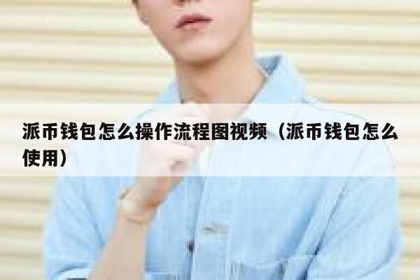 派币钱包怎么操作流程图视频(派币钱包怎么使用) 第1张 派币钱包怎么操作流程图视频(派币钱包怎么使用) 第1张