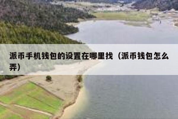 派币手机钱包的设置在哪里找（派币钱包怎么弄） 第1张